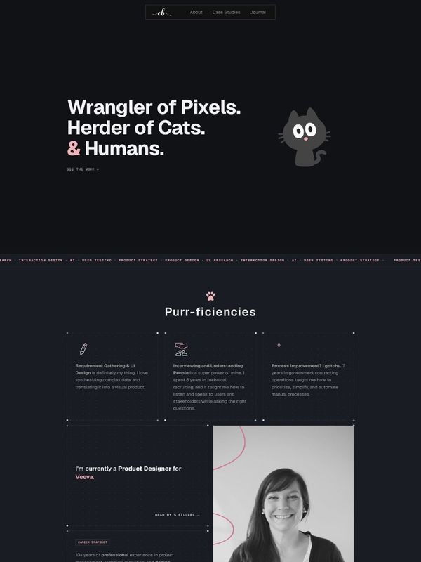 Emily Backes's homepage: a dark hero reading Wrangler of Pixels. Herder of Cats. & Humans., with a cartoon cat